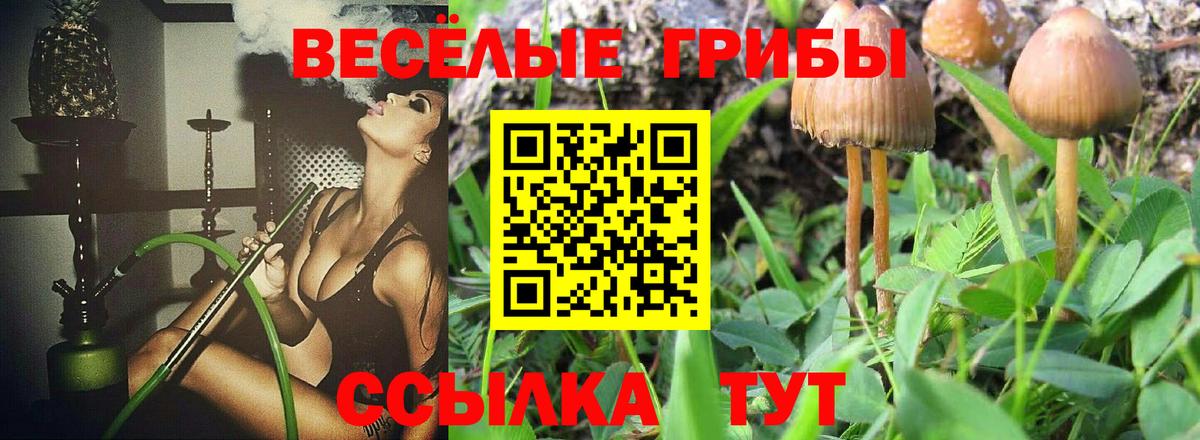 Галлюциногенные грибы мицелий Мыски