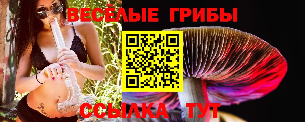 Псилоцибиновые грибы Magic Shrooms  Вход с VPN  Мыски 